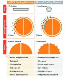 “Compact blade peeler” improves the peeling speed and yield rate