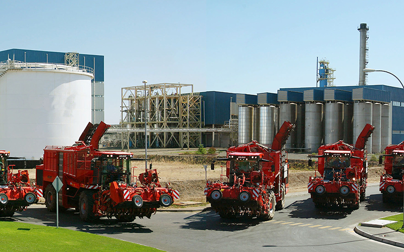 BENEO to invest more than 50 million Euro expanding chicory inulin production