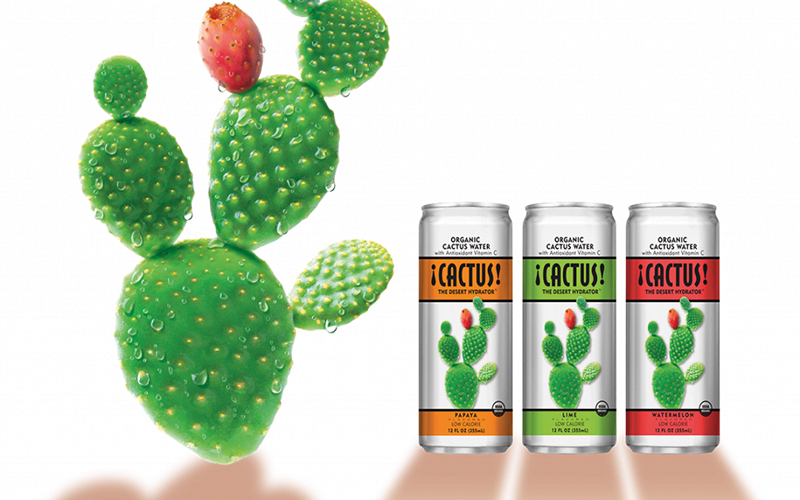 ¡CACTUS! The Desert Hydrator