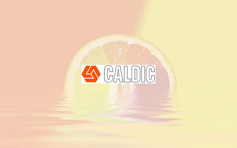 Caldic and Cargill agree on an exclusive distribution partnership for starches, sweeteners and texturizers in Germany and Austria