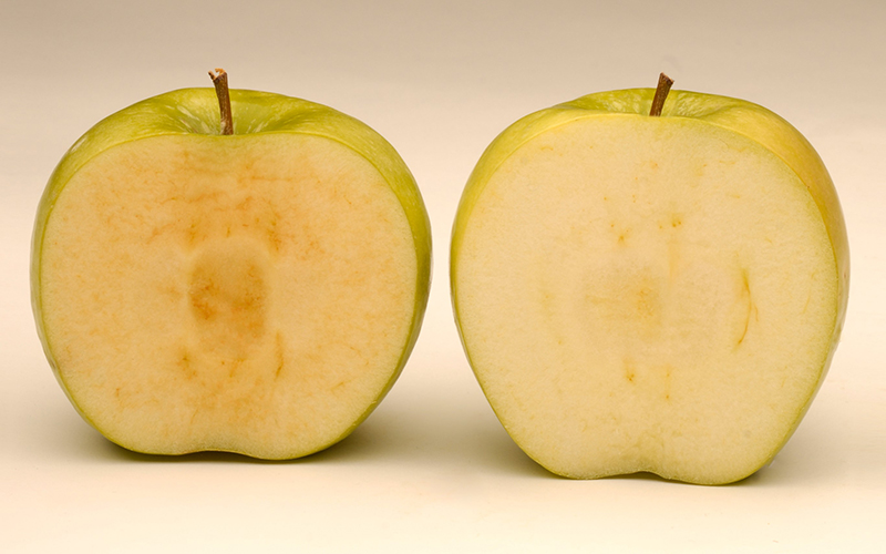 Apples that don’t go brown now available in US supermarkets