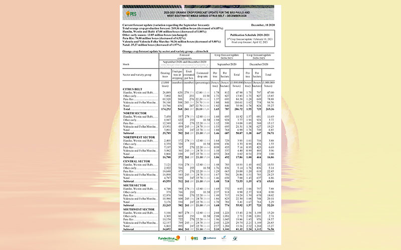 Brazil: 2020-2021 orange crop forecast update for the Sao Paulo and West-Southwest Minas citrus belt