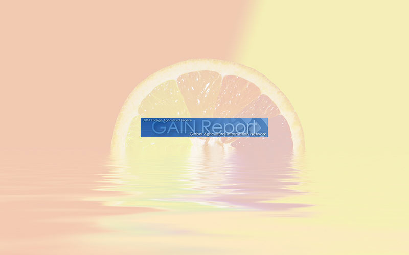 Gain Report: Citrus semi-annual 2019