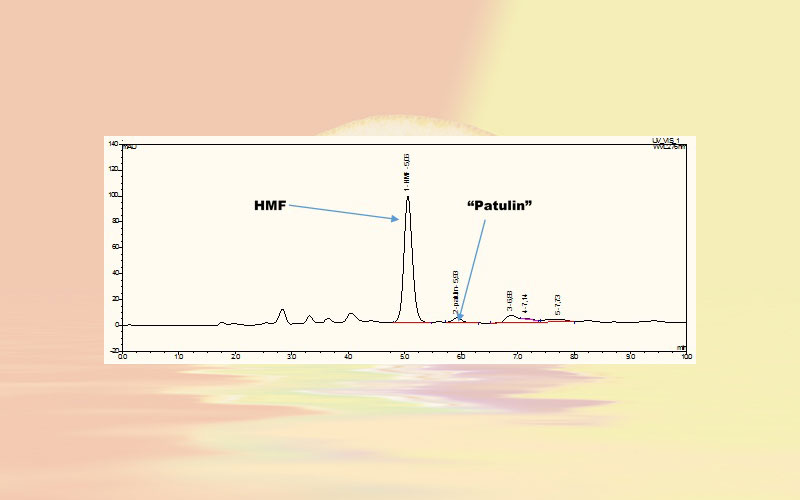 Revision of IFU Recommendation #2 Determination of patulin in fruit and vegetable juices and purées