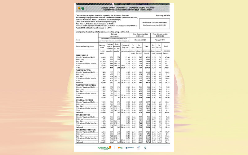 Brazil: 2020-2021 orange crop forecast update for the Sao Paulo and West-Southwest Minas citrus belt – February 2021