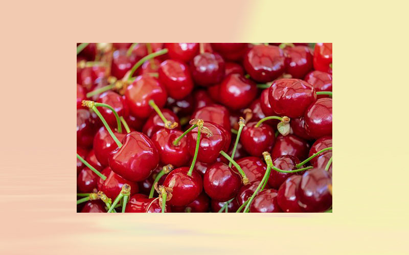 Turkish cherry exporters expect to hit all-time high