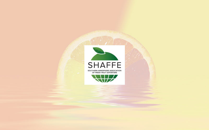 SHAFFE to lead Southern Hemisphere Fruit Exporters strategy on sustainability and presents first outlook during Fruit Attraction