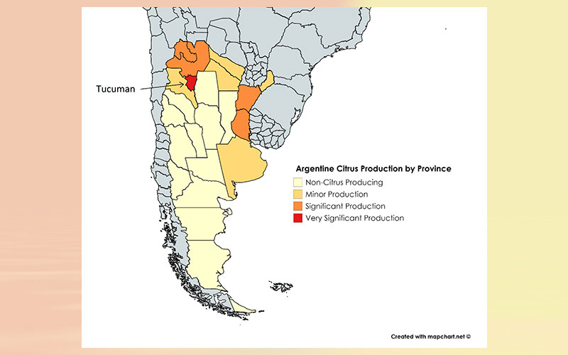 Argentina citrus annual