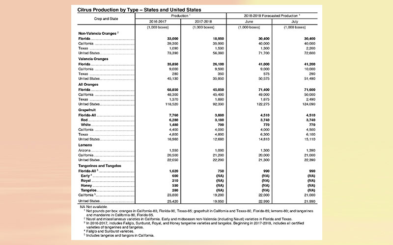 USDA: Florida citrus July forecast 2019