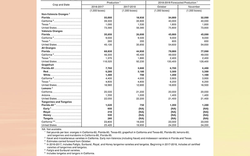 USDA: Citrus November forecast