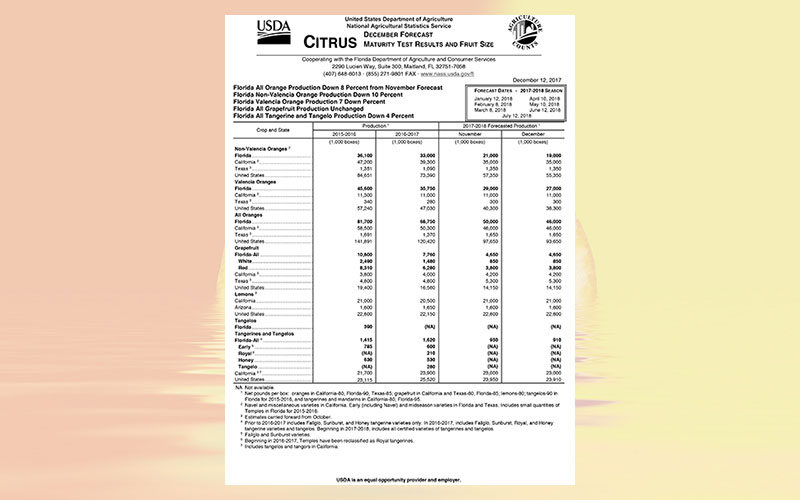 Florida Citrus December forecast: Florida all orange production down 8 percent from November