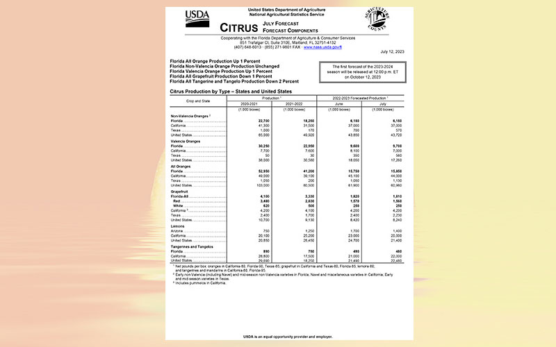 USDA: Florida citrus July 2023 forecast