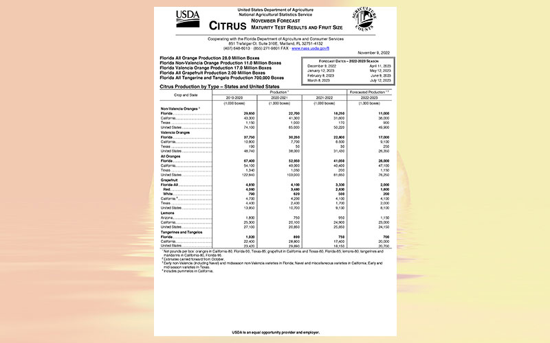 USDA: Florida citrus November 2022 forecast