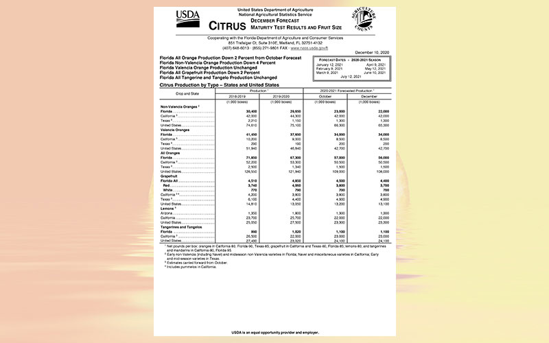 USDA: Florida citrus December 2020 forecast