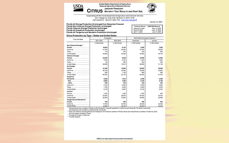 USDA: Florida citrus January 2024 forecast