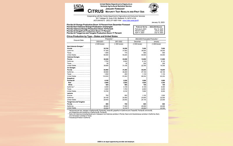 USDA: Florida citrus January 2023 forecast