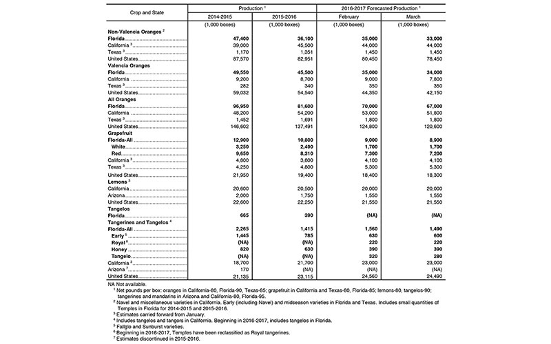 Citrus March forecast: Florida all orange production down 4 percent from February