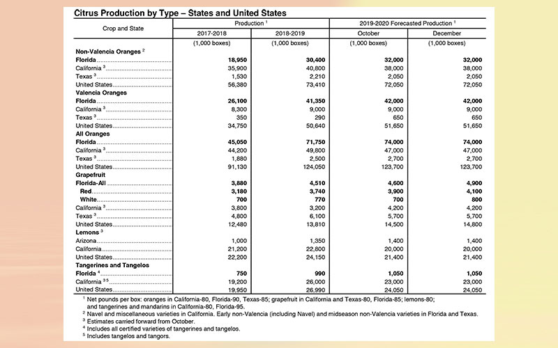USDA: Florida citrus December forecast