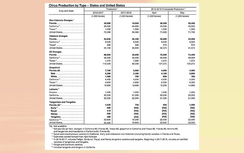 USDA: Florida citrus May forecast 2019