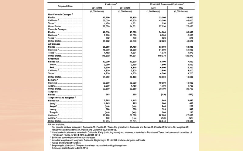 Florida Citrus May forecast: Maturity test results and fruit size