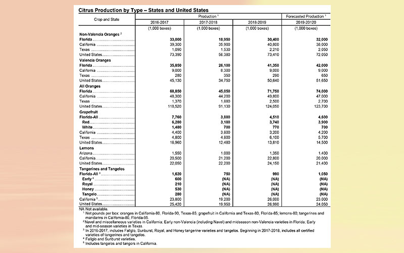 USDA: Florida citrus October forecast