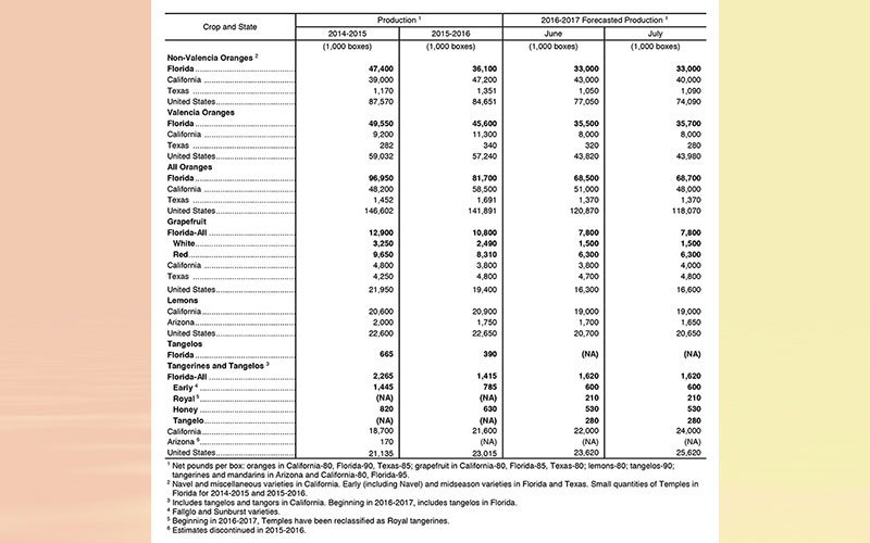 Florida Citrus July forecast: all orange production up slightly from June