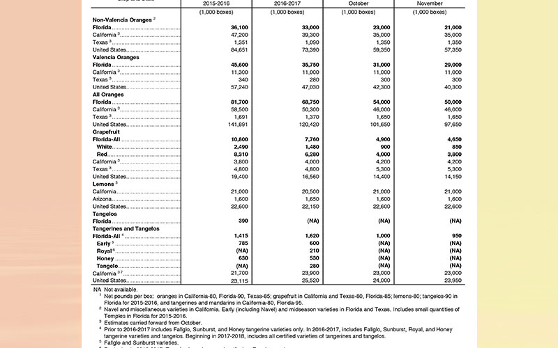 Florida Citrus November forecast: maturity test results and fruit size