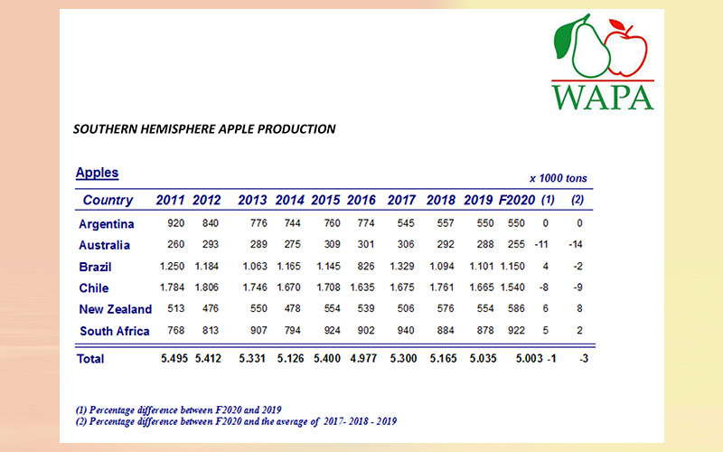 World Apple and Pear Association (WAPA) presents annual Southern Hemisphere production forecast