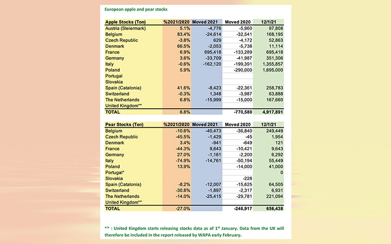 WAPA releases first apple and pear stock figures of the season