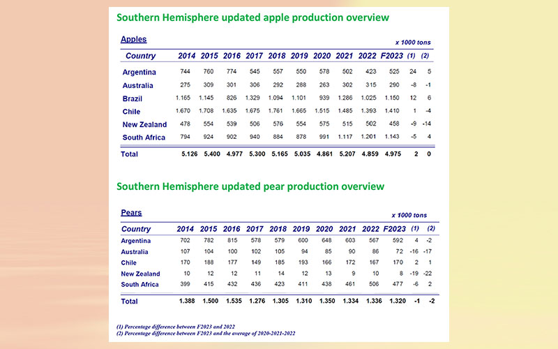 WAPA: Southern Hemisphere apple and pear crop forecast revised downward following severe weather events