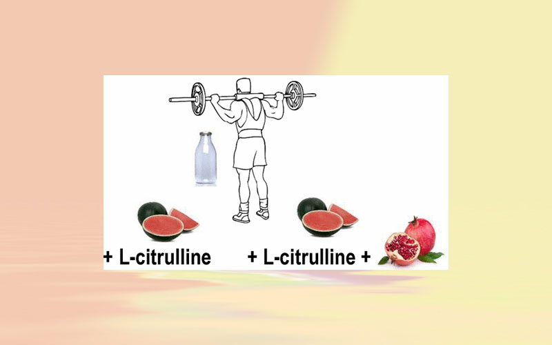 Consumption of watermelon juice enriched in l-Citrulline and pomegranate Ellagitannins enhanced metabolism during physical exercise