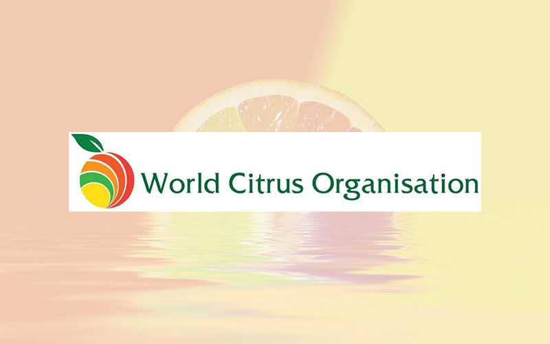 World Citrus Organisation (WCO) presents annual Northern Hemisphere production forecast