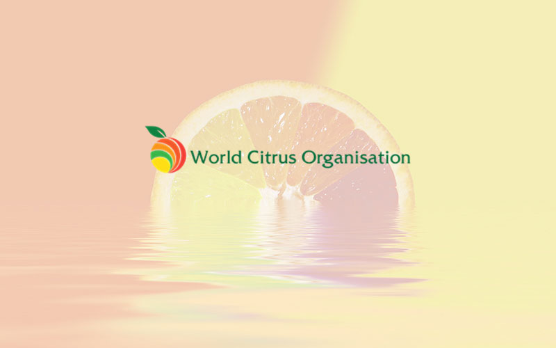 World Citrus Organisation gathers for annual Southern Hemisphere forecast & elections