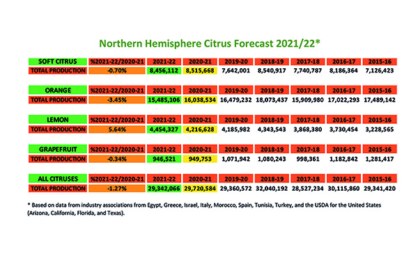 World Citrus Organisation (WCO) presents annual Northern Hemisphere Citrus Forecast