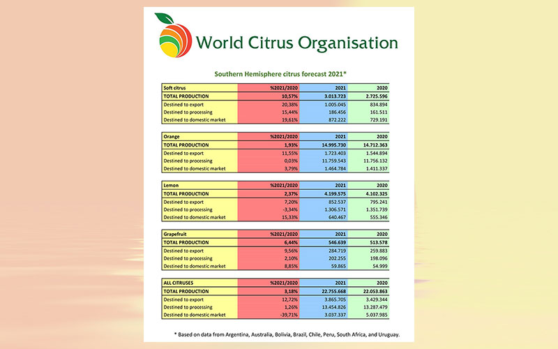 World Citrus Organisation (WCO) presents annual Southern Hemisphere production & export forecast and sets-up permanent Health & Nutrition Working Group in Annual General Meeting