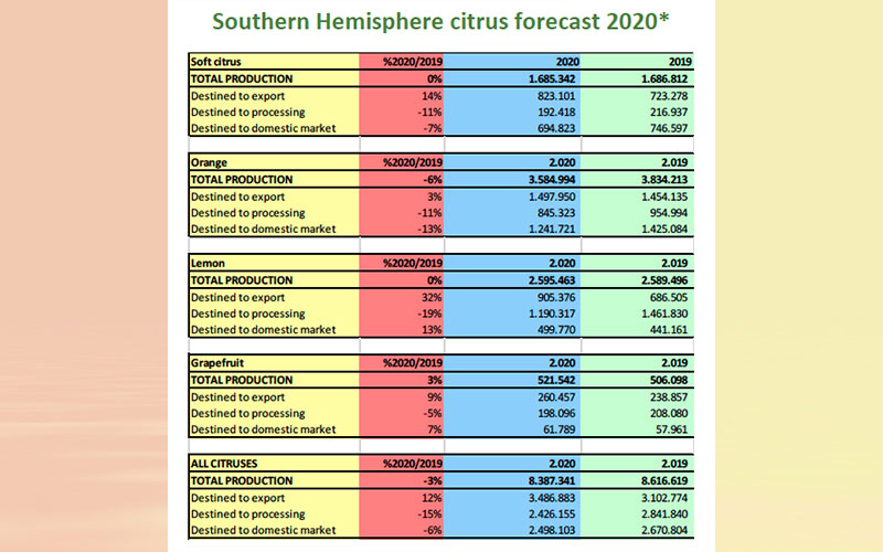 World Citrus Organisation (WCO) presents annual Southern Hemisphere production forecast